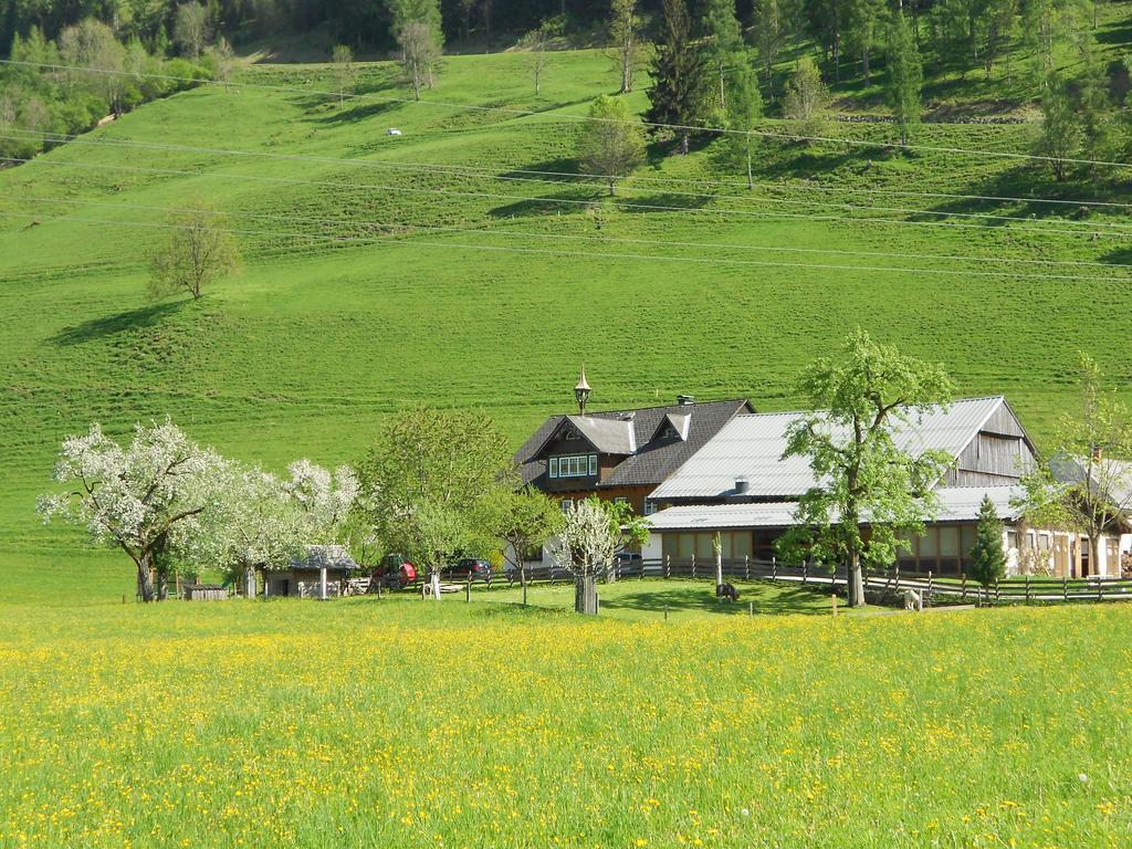 Weitgasserhof Шладмінг Екстер'єр фото